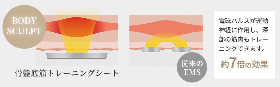 電磁パルスが運動神経に作用し、深部の筋肉もトレーニングできます。約7倍の効果